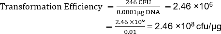Transformation efficiency formula; equation showing CFU to DNA ratio, 2.46×10⁸ CFU/µg calculation.