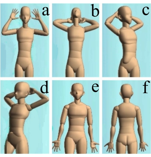 figure-results-1 Human torso model with six phonation-related poses labeled a-f; diagrams for vocal study or analysis.