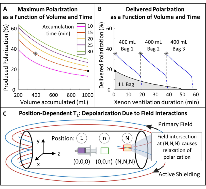 Polarization volume-time graphs; Field interaction diagram; Depolarization process analysis.