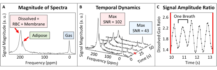 figure-results-2 Signal spectra diagram; frequency vs. time analysis, depicting signal amplitude and dynamics.