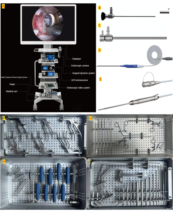 Endoscopic surgery system diagram, includes camera, LED luminescence, surgical tools setup.
