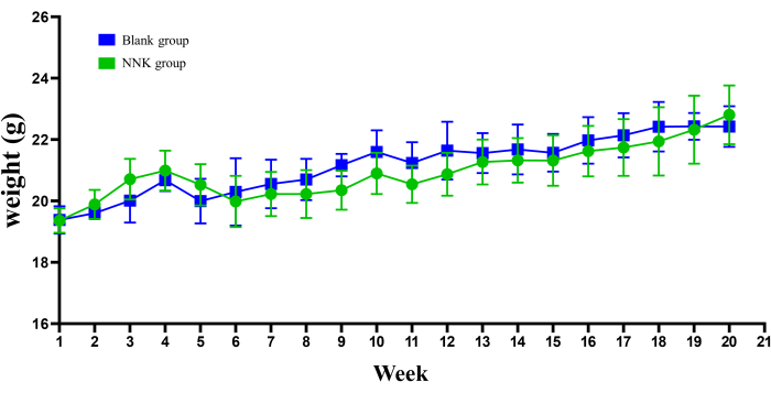 figure-results-2 Weight growth chart comparing NNK and blank groups over 21 weeks, with error bars for variability.