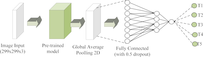 Neural network diagram; image processing; model, pooling, fully connected layer, dropout.