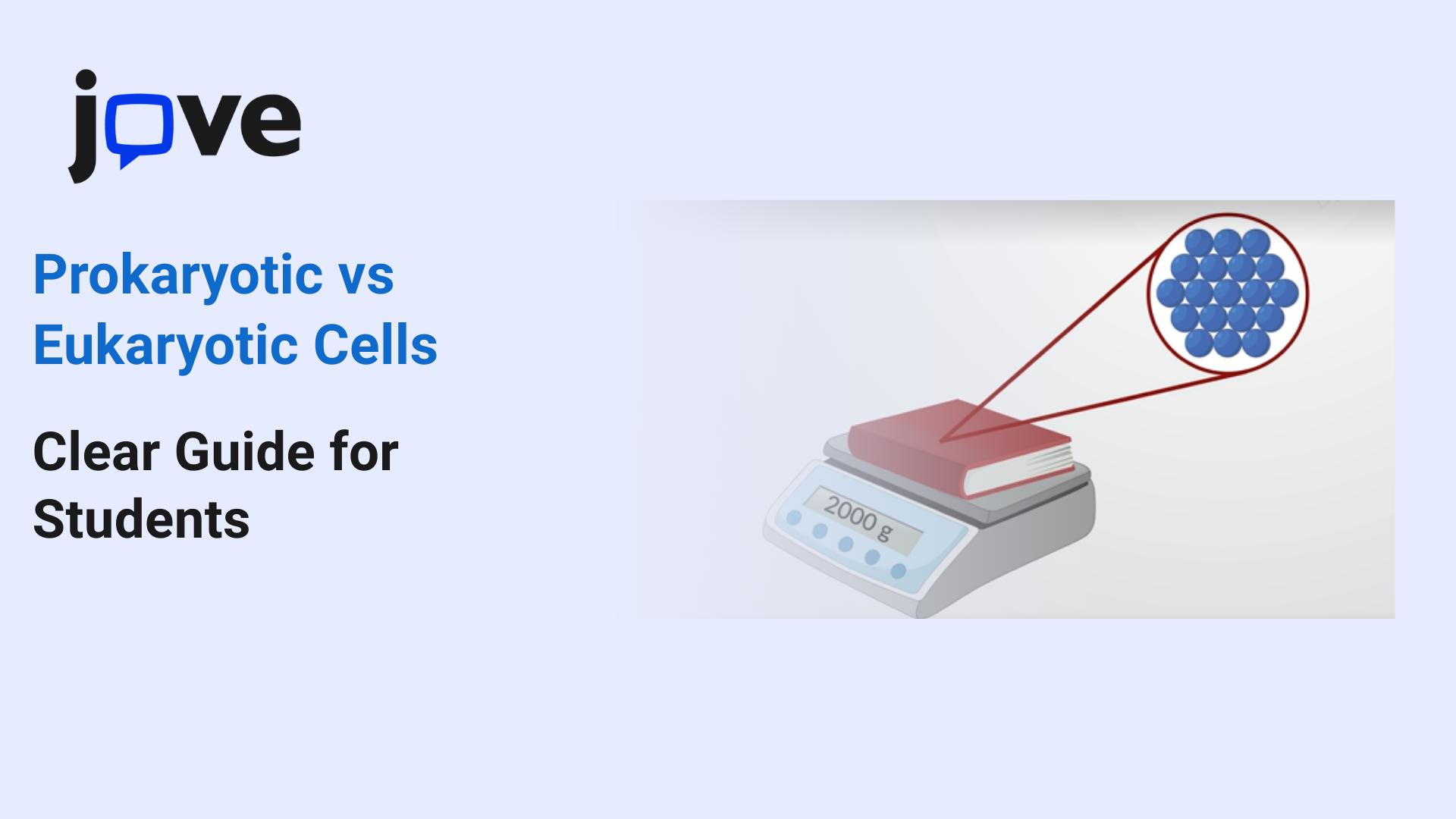 Prokaryotic vs Eukaryotic Cells